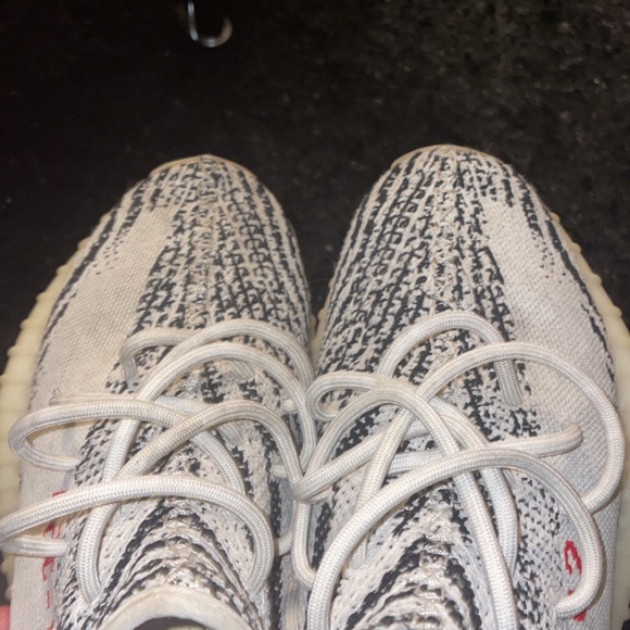 zebras - Picture 3 of 4